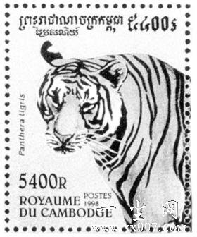 �������ţ���Ʊ�ϵ�����֮��