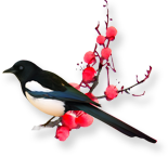 喜鹊登枝 分割线